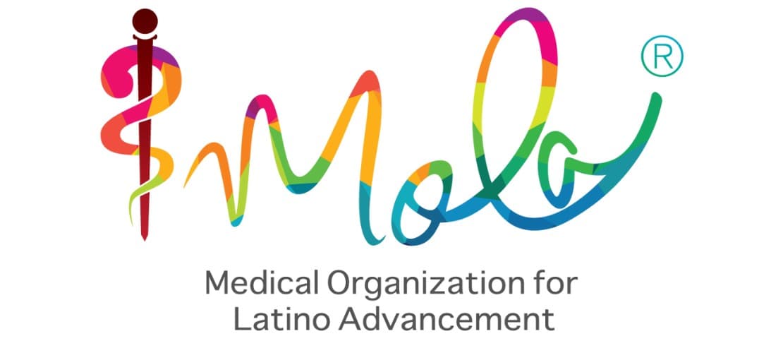 MOLA Partner Logo Lewis University logo